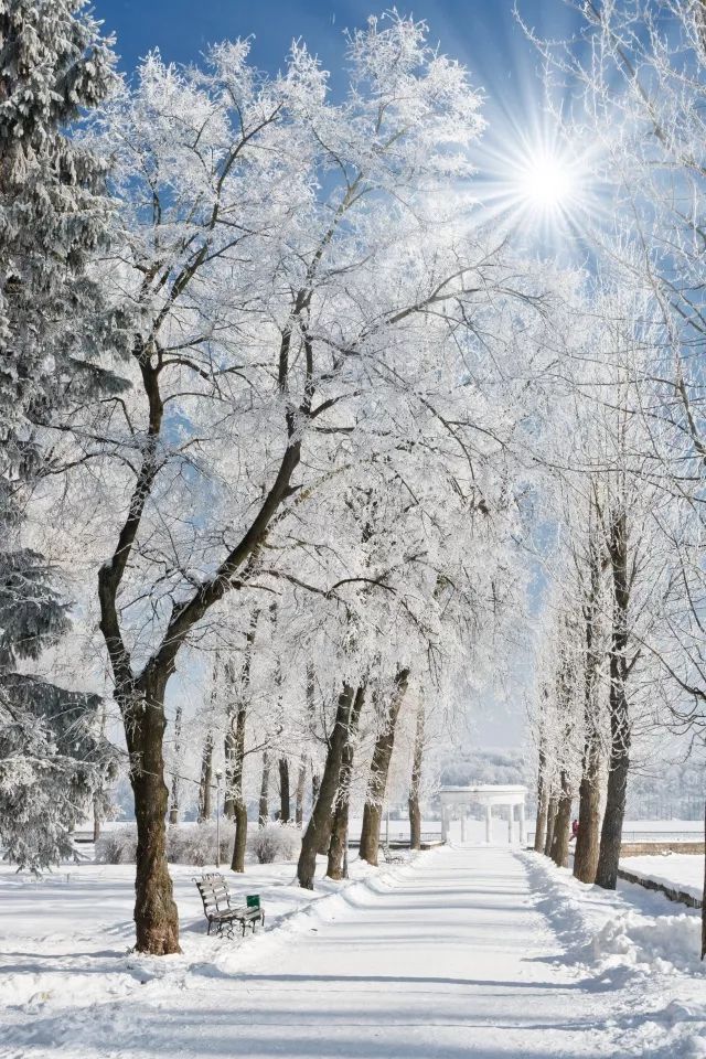 节气|大雪,适宜吃吃喝喝