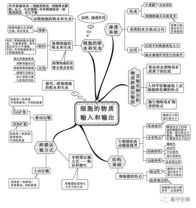 细胞的物质输入和输出细胞的基本结构组成细胞的分子