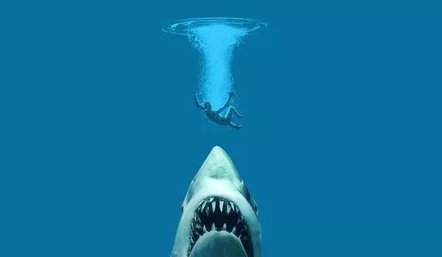 今天要说的这部电影《鲨海》