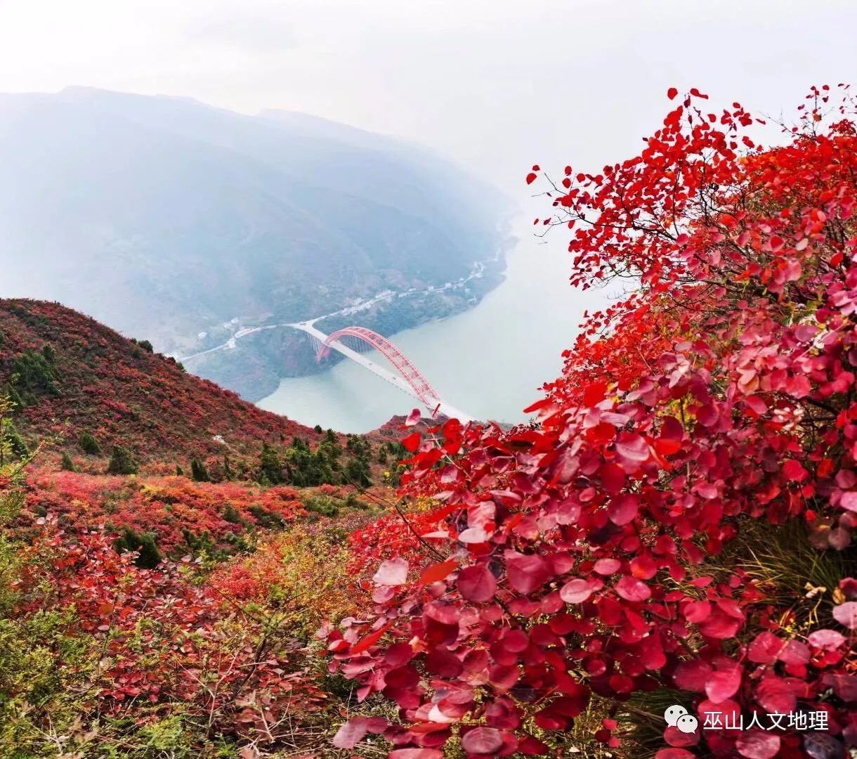 影像满山红叶似彩霞