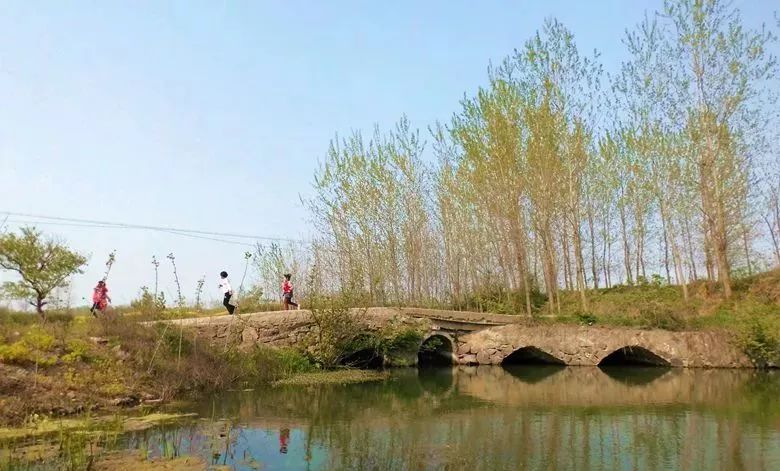 醉里飞花令河|夏春华:趟过那条爱情河