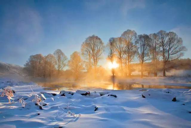 大雪 ▏天气寒冷,温暖陪伴