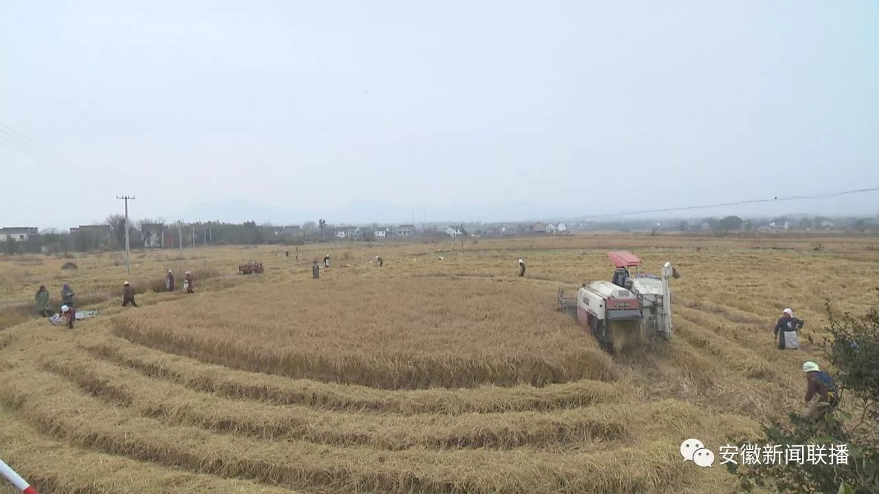 望江麦元乡有多少人口_盐亭县麻秧乡望江村