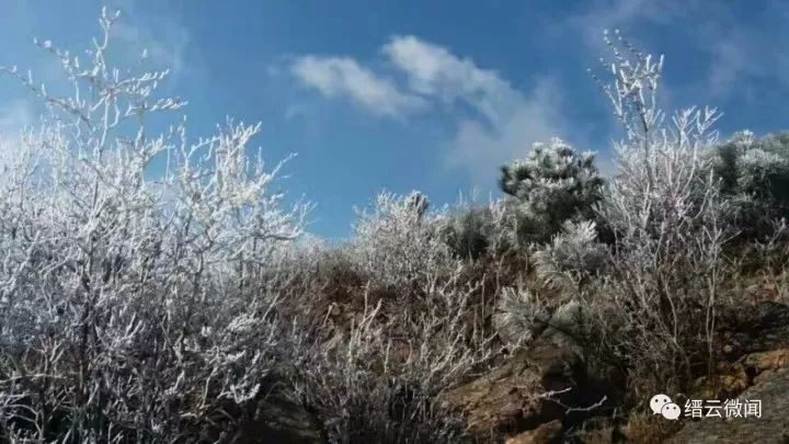 在缙云大洋山,同样有一波雾凇奇观刷屏朋友圈.