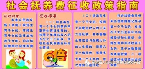 广东人口计划生育条例_广东生育登记表样本图(2)