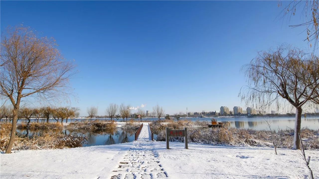 降数场大雪, 吸引了一大拨网友的关注, 全国网友 纷纷为烟台大雪点赞!