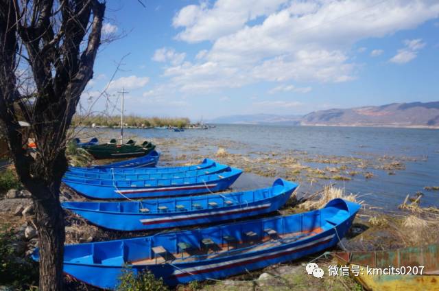 大理旅游人口_大理轻奢2日游 环海旅拍纯玩mini小包团 吉普车环洱海 专业跟拍(3)