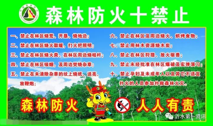 向参与此次灭火行动的森林消防和村民们致敬!