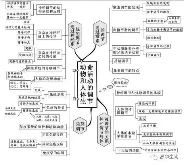 全了| 高中生物知识思维导图,错过不再有!