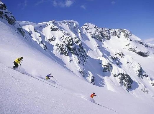 高山滑雪(alpine skiing)