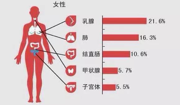 中国人口女性平均身高_100年来人类平均身高变化 中国人长高了10厘米(3)