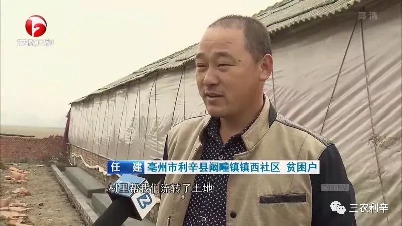 看利辛阚疃镇镇西社区党委又上安徽卫视了