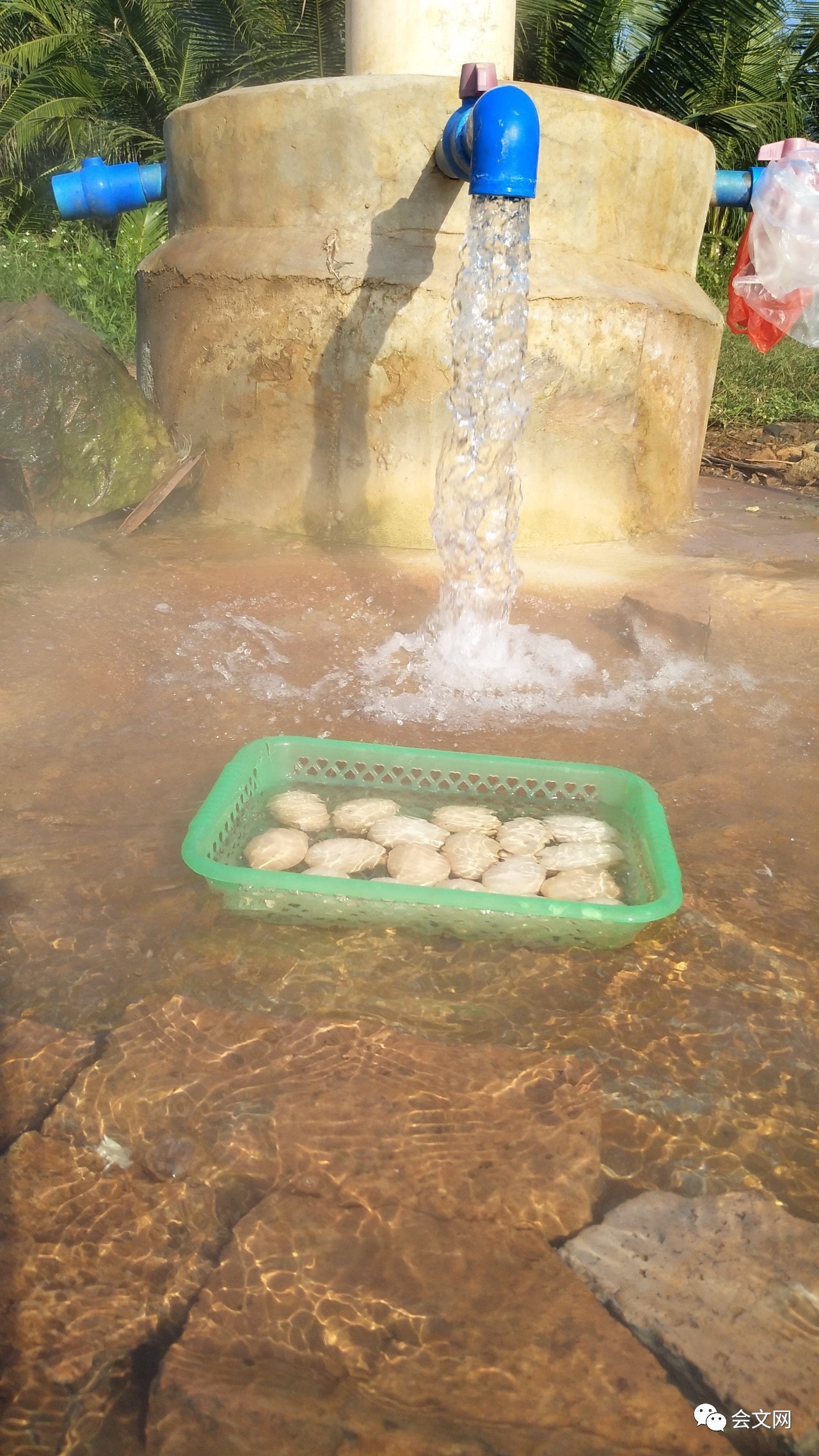 官新温泉秋冬季养生泡浴最佳之处