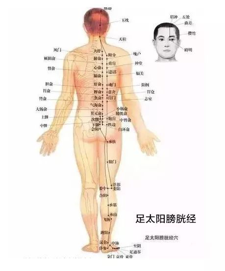 十二经络详细解说