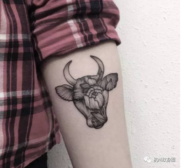 tattoo 纹身素材 金牛座(taurus)