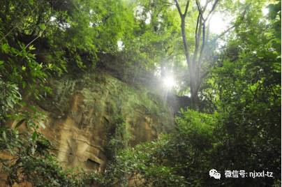 向心力战狼营地——山崖营军事户星空体育APP外训练基地(图2)