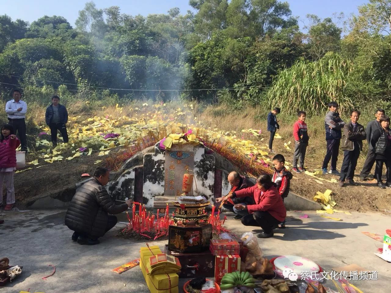 祖德万年固,宗情百代浓 普宁市南陇蔡氏肇基祖遗贵公