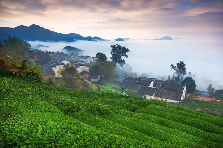 宜游宜居宜业!祁门获评"中国候鸟旅居小城"!