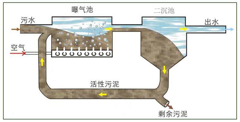 生活污水经过初沉池进入生物反应池中,生物反应池中有培养好的活性