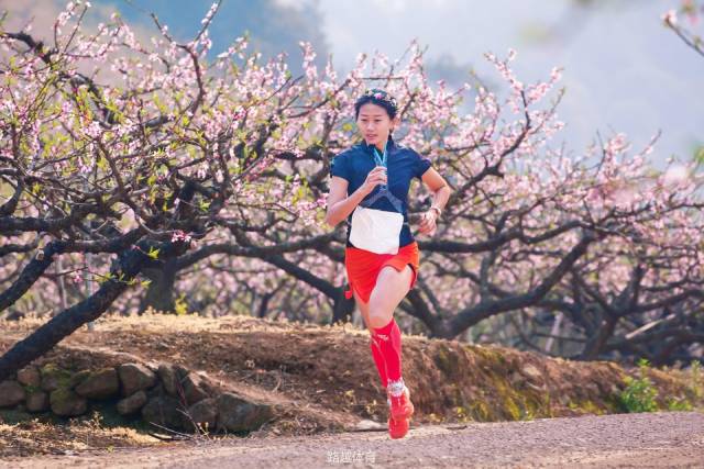 今日上线:成都双遗马拉松 | 南京春牛首马拉松 | 奉化桃花马拉松