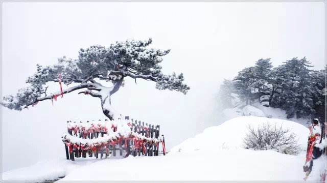 华山景区人口流量_华山景区图片