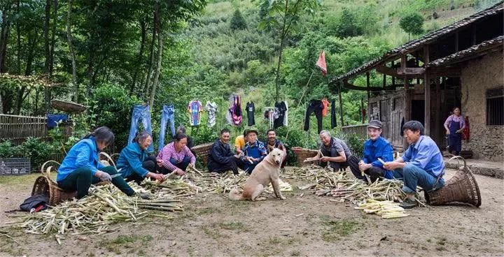 城口婚纱摄影_重庆城口照片