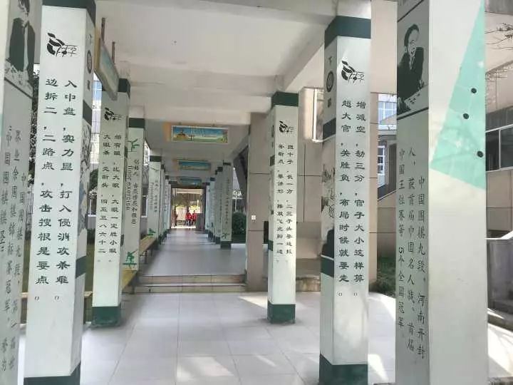 号召全省各地向慈溪阳光实验学校学习经验,让校园围棋