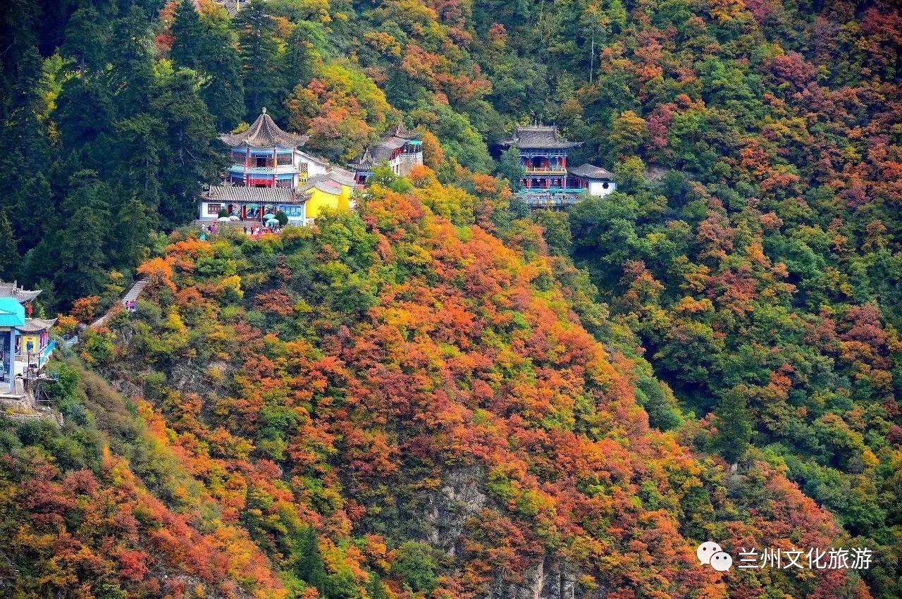 号外:兰州兴隆山入围甘肃省十大最受欢迎的山地旅游景区