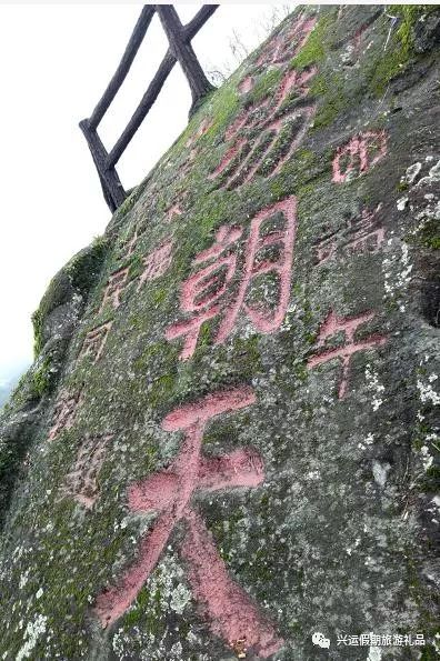 12月17日周日铜鼓万笏hù朝天古树长廊一日游99元