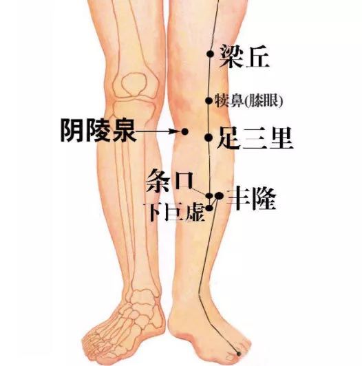 所以对男性来说,若想提升性健康,足三里的养生手法就必须要掌握