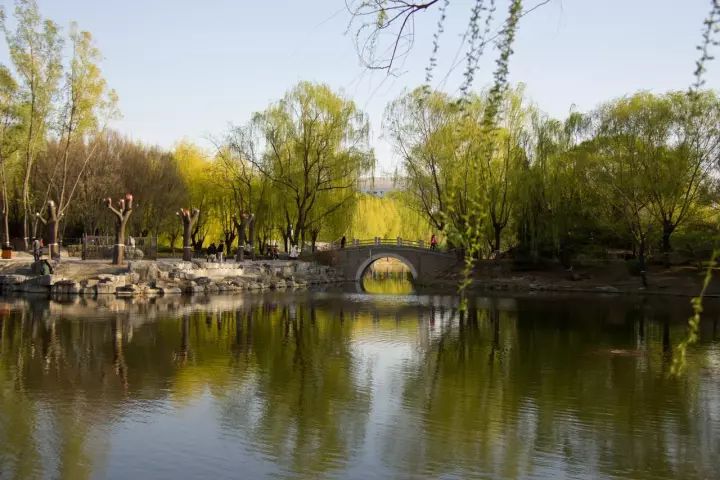 北京最适合一日游的免费景点,够你任性玩一整年!