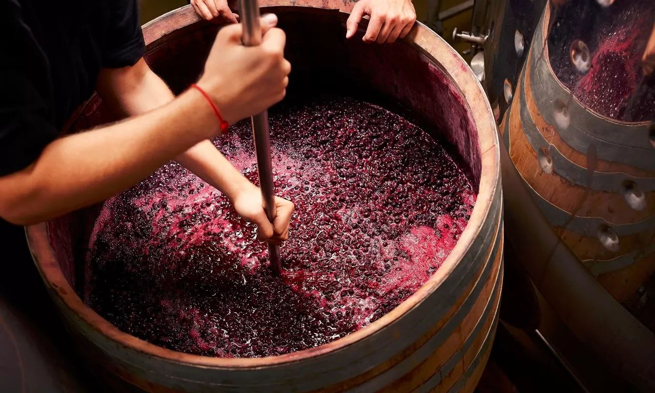 入门必看酒知识之——“红葡萄酒的酿造过程” - 知乎