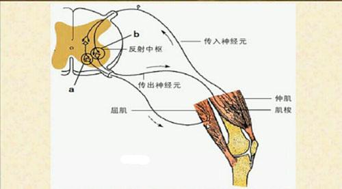 运动神经元病的日常防护和注意事项