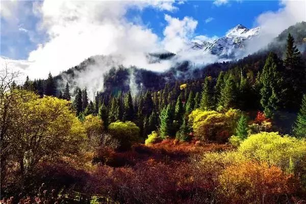 川北私藏雪国秘境!这个紧邻九寨的4a级赏雪胜地,现在去正当时!