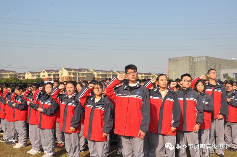 年桐乡市十八岁成人宣誓仪式主题活动在桐乡市凤鸣高级中学隆重举行