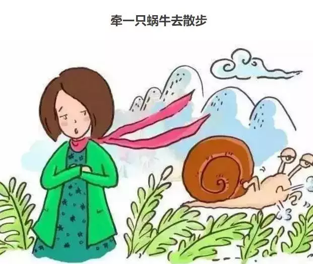 如果你忍不住对孩子发火,就读一读《牵着一只蜗牛去散步》!