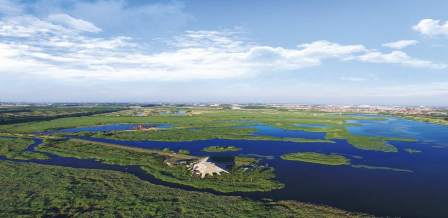 青岛市黄岛区泊里镇多少人口_黄岛区泊里镇殷家村