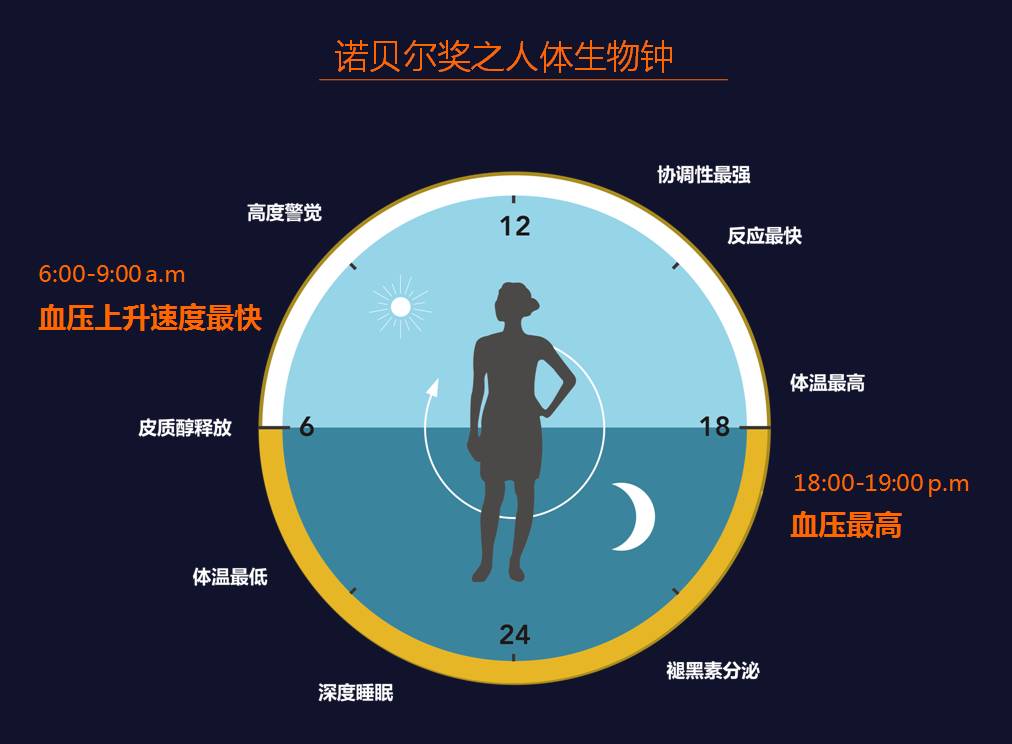 健康 正文  图示:诺贝尔生理学或医学奖揭示的人体生物钟 据记者了解