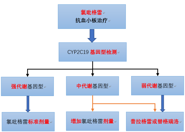 特别提示 在对氯吡格雷抵抗机制的研究中发现,药物相互