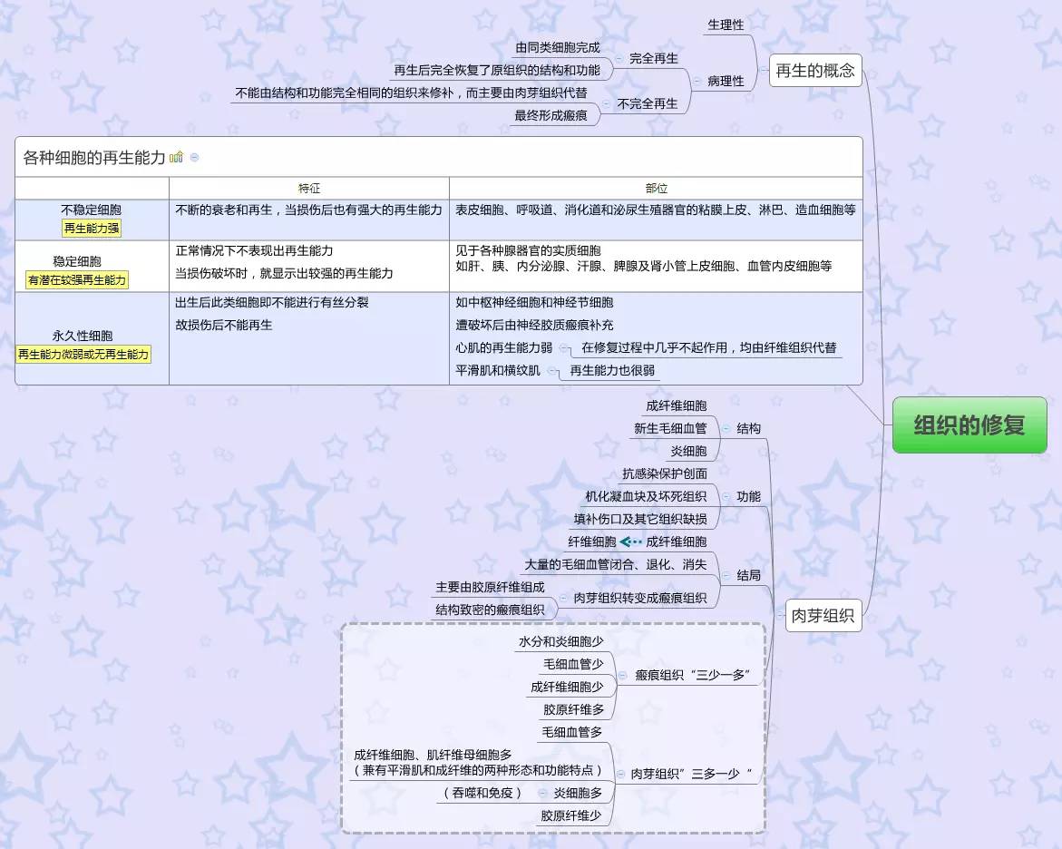 医学思维导图药理学全套完整打印版免费下载