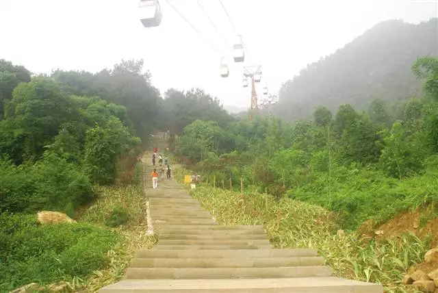 去沙坪坝这些登山步道吸氧健身,每一条都有别样风景