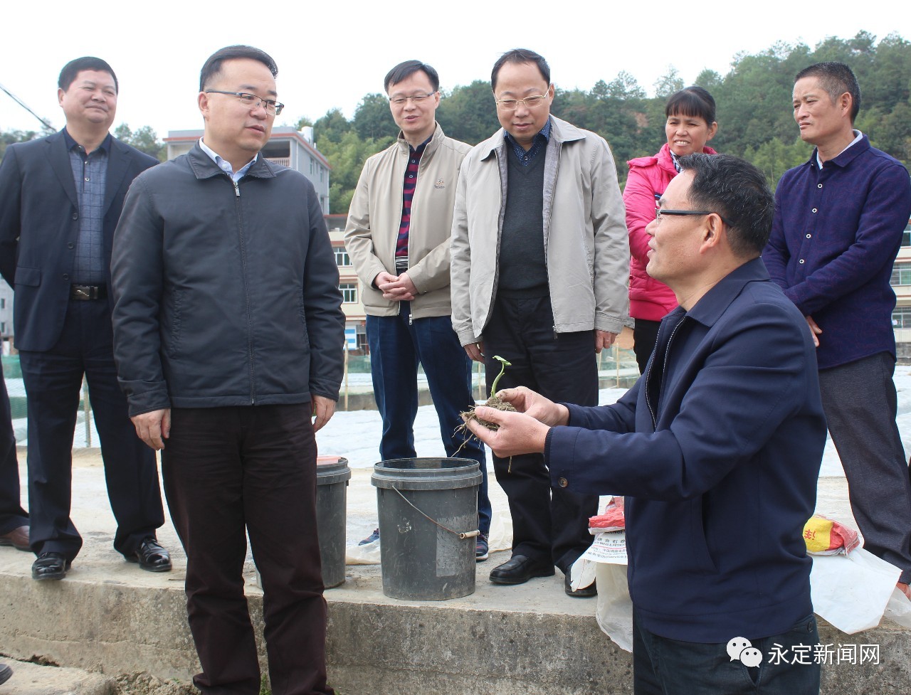 书记区长在忙啥 | 永定区委书记王金福调研冬季农业生产工作