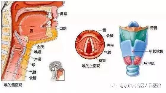 男子突发急性会厌炎 险窒息而亡