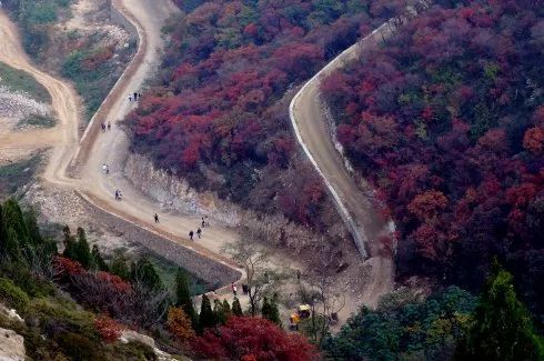 一条木栈道,让九龙峪火了起来