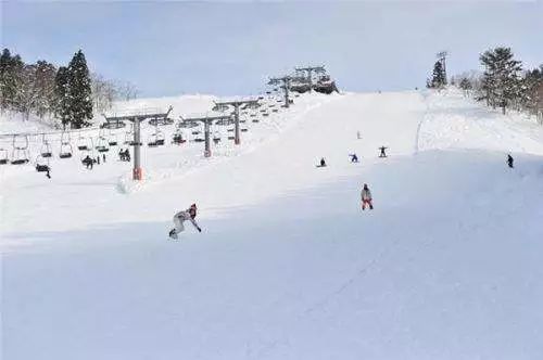 日本新泻3晚4天 4晚5天滑雪之旅