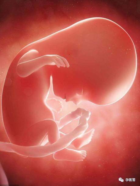 孕期b超,真的可以查出宝宝的所有问题吗?