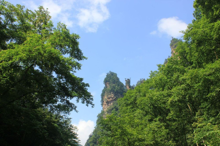 湘西人口碑_湘西赶尸人真实照片