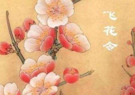 什么飞花成语_飞花令