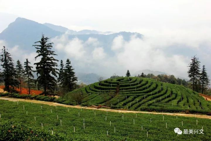 综合园区  九龙山苗族现代农业综合园区位于兴文县大河苗族乡九龙山村