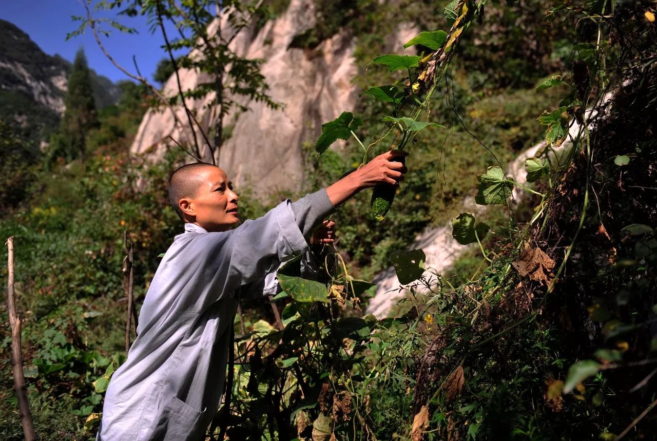 寻隐者遇(一)|他拍了13年隐士,镜头里全是终南山故事